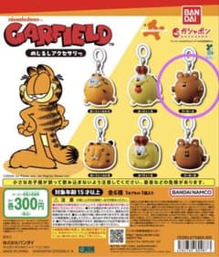 Garfield めじるしアクセサリー Pooky Aのサムネイル