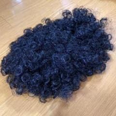 リーゼント　カツラ　ウィッグのサムネイル