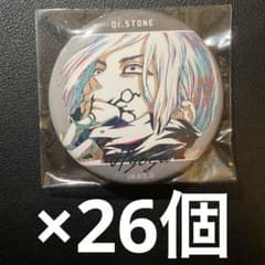 dr.stone ani-art 暁 氷月 缶バッジ 26個 - メルカリ