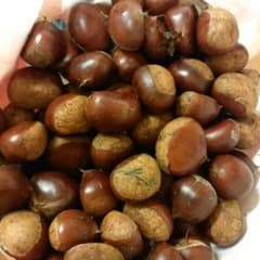 採れたて栗♡1800グラムのサムネイル