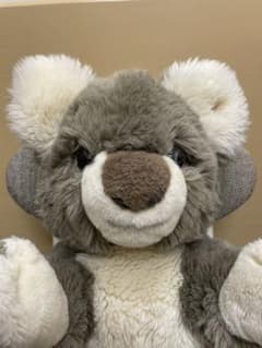 ドイツ・steiff社Cosy コアラ アンティーク ドイツ・steiff社Cosy コアラ アンティーク - メルカリ