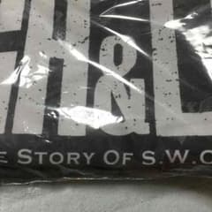 送料込 HiGH＆LOW ラストワン賞のサムネイル