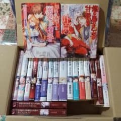 TL 小説 20冊 セット 少女漫画 ライトノベル 文学 まとめ売りのサムネイル