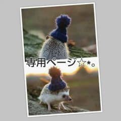 【ことみん様 専用】のサムネイル