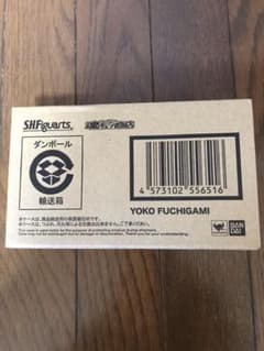 S.H.Figuarts YOKO FUCHIGAMIのサムネイル