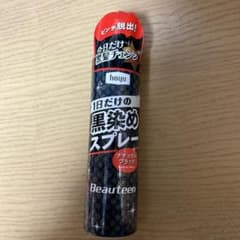 ビューティーン 黒染めスプレー 80g 80gのサムネイル