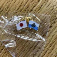 大阪関西万博 EXPO 2025 5月 平日限定 大屋根リング ピンバッジ | Shop