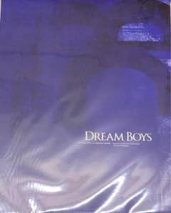 DREAMBOYS パンフレットのサムネイル