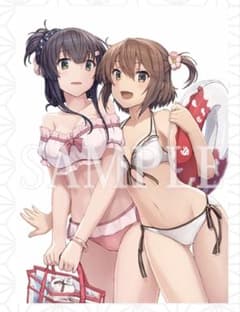 Blu-ray 刀使ノ巫女 ソフマップ 全巻購入特典 B2布ポスター - メルカリ