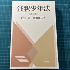 【裁断済】注釈少年法 第5版のサムネイル