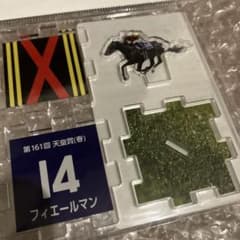 フィエールマン 第161回天皇賞（春） 競馬　プレートのサムネイル