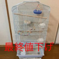 ケージ 鳥かごのサムネイル