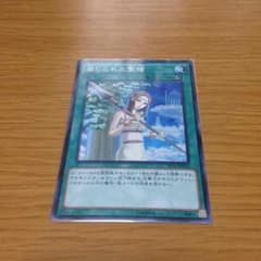 禁じられた聖槍のサムネイル