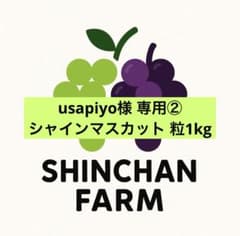 usapiyo様 専用②のサムネイル