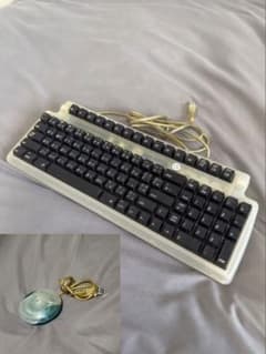 Apple USB Mouse & Sanwa Supply SKB-M102U Keyboard