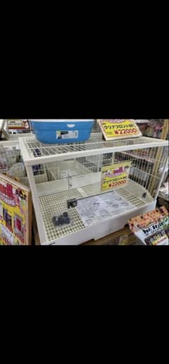 GEX クリアアクリルケージ W81.5×D54.5×H59.0cm - メルカリ