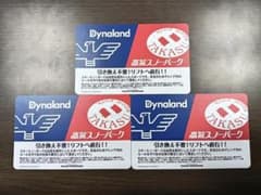 高鷲スノーパーク&ダイナランド共通スキー場利用券　大人用のサムネイル