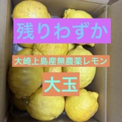 大崎上島産無農薬レモン22のサムネイル