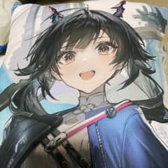 アークナイツ エンドフィールド ビッグクッション チェン・センユー
