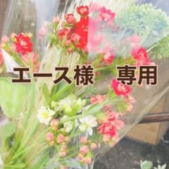 お値下中【ホワイトハウスコックス】 Whitehouse Cox 長財布のサムネイル