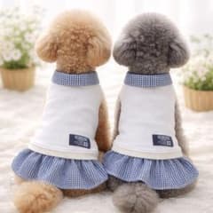 大人気‼︎犬服ハンドメイド ネーム入り 襟付き重ね着風ワンピース