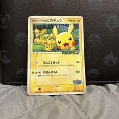 ポケモンカード ポケパークのピカチュウ 043/PCG-Pのサムネイル