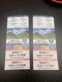 中央アルプス駒ヶ岳ロープウェイ往復乗車券 バス片道券 2枚セット - 2