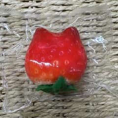 kikisquishy ねこ耳イチゴ もち米泥風のサムネイル
