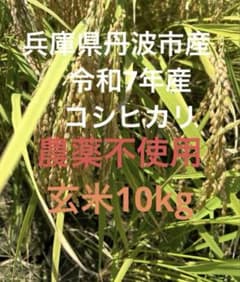 兵庫県丹波市産！ 令和7年産 農薬不使用 コシヒカリ玄米10kg - メルカリ