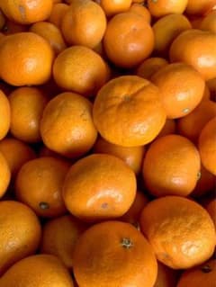 小玉みかん　濃厚のサムネイル