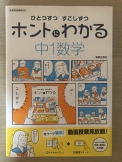 ひとつずつ すこしずつ ホントにわかる 中1数学のサムネイル