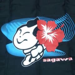 m347635748_1.jpg?1545406799