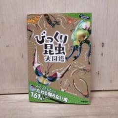 びっくり昆虫大図鑑 161種のサムネイル