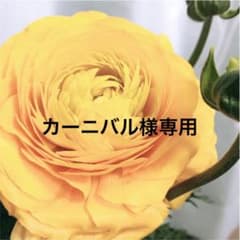 カーニバル様専用　雪だるまのサムネイル