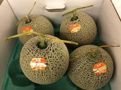北海道 富良野 メロン 赤肉 秀品 ４玉のサムネイル
