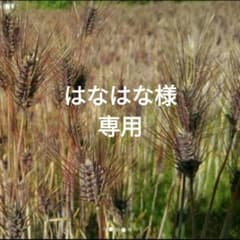 自然栽培　ダイシモチ麦　2kgのサムネイル