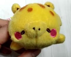 ペタニマル。×キリンさんのサムネイル