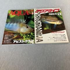 月刊アクアライフ 2冊セット アピストグラマ特集 - メルカリ