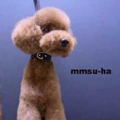 羽角佳子様返金ページ☆のサムネイル