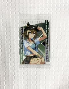 말 딸 트윈 웨이퍼 9 제9R 캐릭터 카드 W9-22 슈발그란