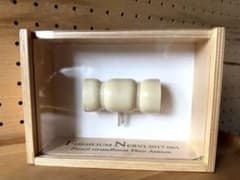 【売り切り】 テオ・ヤンセン サイン付き　オリジナル　ストランドビースト m34777906259_1.jpg?1782020632