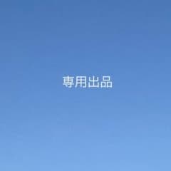 ライチュウ様専用出品のサムネイル