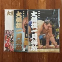 大相撲　パンフレット　2冊から3冊へ　再出品のサムネイル
