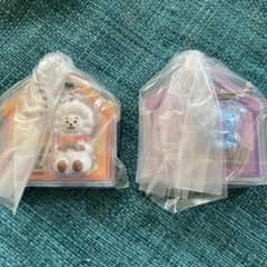 BT21 패키지 매력 & 초코 보로 SHOOKY