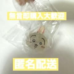ちいかわパーク まめまめフィギュアチャーム うさぎ 入場者特典のサムネイル