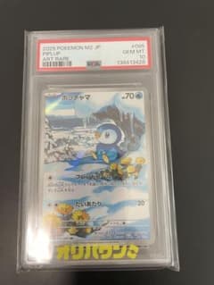 残*ト様 ポッチャマ AR PSA10 インフェルノXのサムネイル