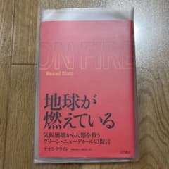 地球が燃えている 気候崩壊から人類を救うグリーン・ニューディールの提言のサムネイル