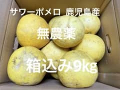 サワーポメロ 鹿児島産 箱込み9㎏ 無農薬 農薬不使用 パール柑 柑橘