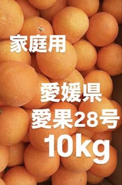 愛媛県産 家庭用 愛果28号 柑橘 10kg - メルカリ