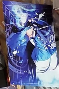 Fate 특전 카드